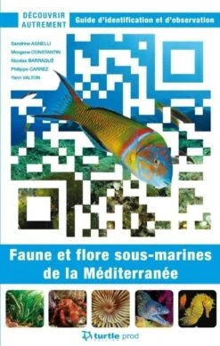 Découvrir Autrement La Faune Et La Flore De Méditérannée