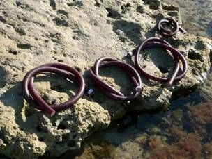 Sandow Au Mètre Sigalsub Réactive Evo 17.5mm – Image 2